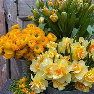 Логотип @a121as34 - ⚜ Книги. Саморазвитие ⚜