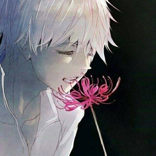 Логотип @a1r3xsongs - kurami song