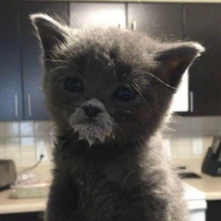 Логотип @a4n3k1 - хехе))