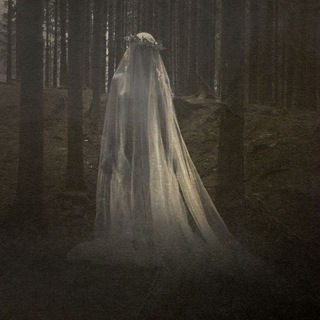 Логотип @a_dying_soul_north_wind - • A dying soul • | • [ пвл ] •