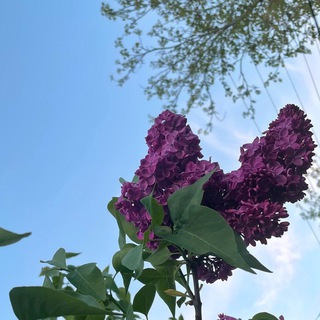 Логотип @a_more21 - А.МОРЕ💙