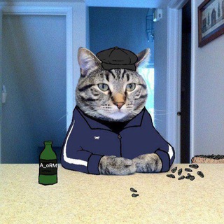 Логотип @a_orm - Академия Реальных Мемов