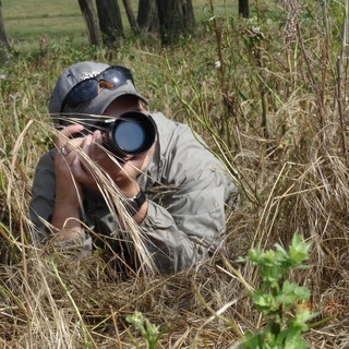 Логотип @a_s_prokopenko - a_s.prokopenko