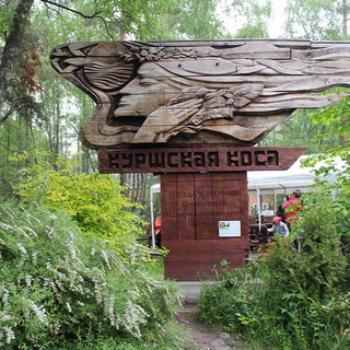 Логотип @aa_kalina - aa_kalina Куршская коса