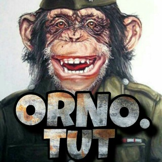 Логотип @AAAAAETQab5v5QH2C6iDJA - orno.tut