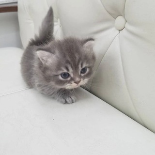 Логотип @aaaaaaa1aab - Как выложить видео в ТТ