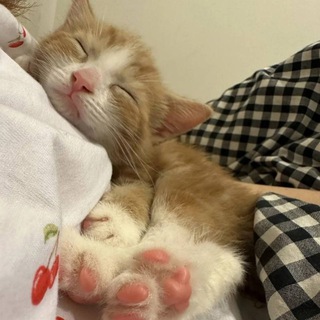 Логотип @aaaaaaaaaaaaaaaoaaaaaaa - АААААААААААААААААААААААААААААААА