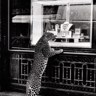 Логотип @aabuyers - КОПИИ БРЕНДОВ | AABUYERS.CHINA