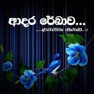Логотип @aadara_rekhawa - ආදර රේඛාව.....💙✨