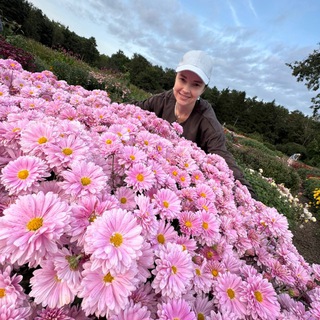 Логотип @aaeell_me - AaeEll - Triangular Circle