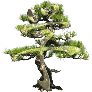 Логотип @aasr_chat - АРС:дискуссии