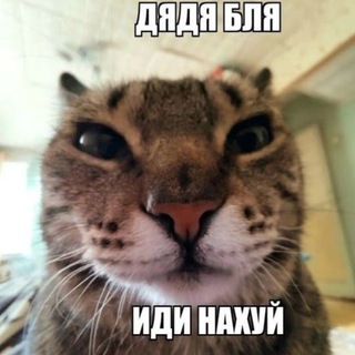 Логотип @abaldyu69 - AbalDyu ⚡️