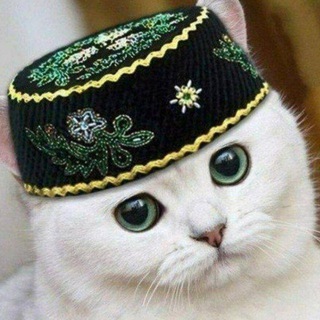 Логотип @abaytatar - Абау