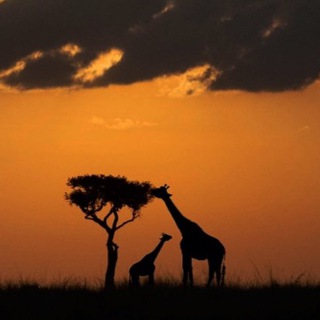 Логотип @abcde_travel - Туристическая АБВГДЕЙКа