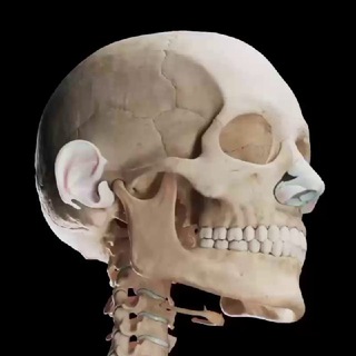 Логотип @abd_nur_dent_omfs_videos - Dental, Implant, Oral and Maxillofacial Surgery Clinical Cases