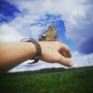 Логотип @abdullah_mongol - Абдуллах