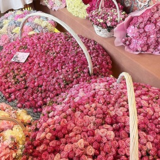 Логотип @abdumumlnova - 𝐰𝐢𝐭𝐡 𝐥𝐮𝐯🤍