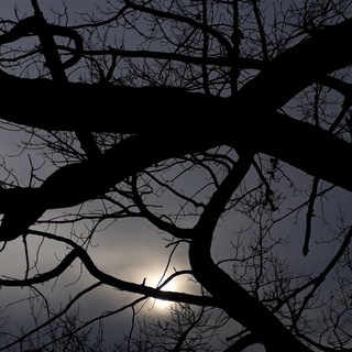 Логотип @aberky7777777 - СЛОВА