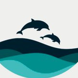 Логотип @abhaziatravel - AbkhaziaTravel🐬