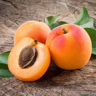 Логотип @abrikosmedia - Abrikos