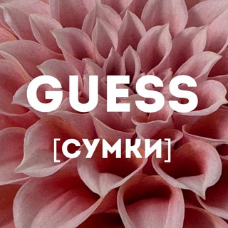 Логотип @absolu_outlet - Сумки GUESS