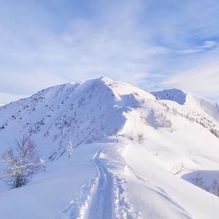 Логотип @absolutesnowchat - Чат Макс Борд Дилер