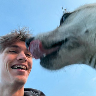 Логотип @absurdviktora - абсурд виктора