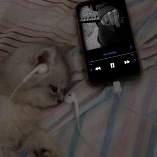 Логотип @abudjamilyaa - abu djamilya