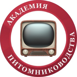 Логотип @academy_lections - Лекции