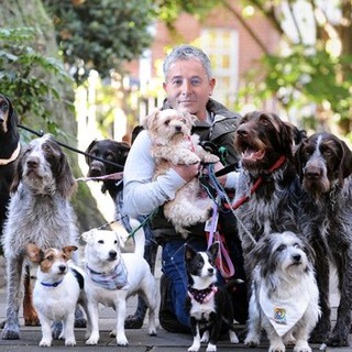 Логотип @accwhisper_chat - Чат Переводчика с бухгалтерского