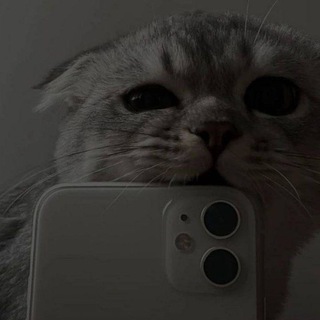 Логотип @ache_28 - Аче