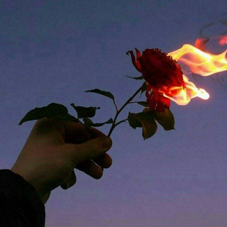 Логотип @acilar1m - Azoblarim