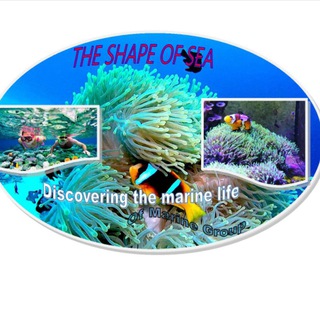 Логотип @acquariofilia_italia_marina - Acquariofilia Marina Italia
