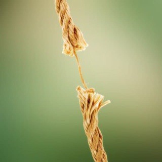 Логотип @actio_pauliana - ACTIO_PAULIANA