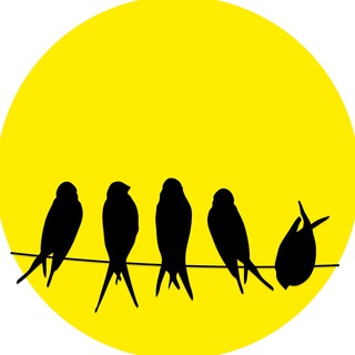 Логотип @actualice - Актуалочка