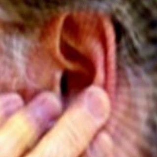 Логотип @acufenos_y_tinnitus - Acúfenos y tinnitus