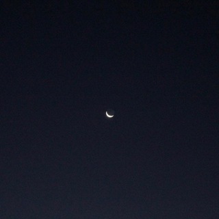 Логотип @adabinc - 𝙰𝚍𝚊𝚋