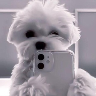 Логотип @adds_mk - Roblox | AdoptMe | МК канал