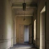 Логотип @adekvatniemislii - адекватные мысли неадекватной девушки