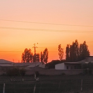 Логотип @adelinaleila - Чат обои на любой вкус🌹🌈💦