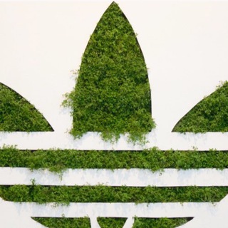 Логотип @adiktemirkrg - Адик оригинал