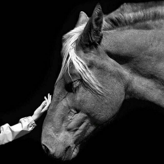 Логотип @adkhamjanovnasss - 𝑨𝒅𝒌𝒉𝒂𝒎𝒋𝒂𝒏𝒐𝒗𝒏𝒂𝒔𝒔