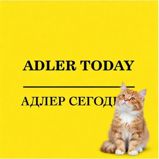 Логотип @adlertoday_chat - Чат Адлер Сегодня