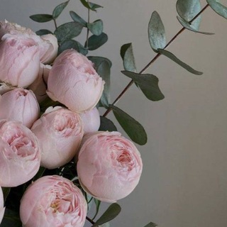 Логотип @adlibitums - 𝐶ℎ𝑜𝑖𝑟&𝑀𝑒