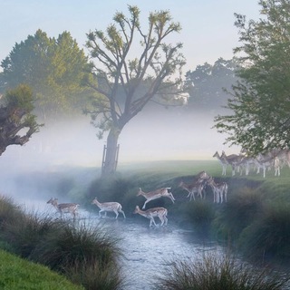 Логотип @admiration4 - admiration