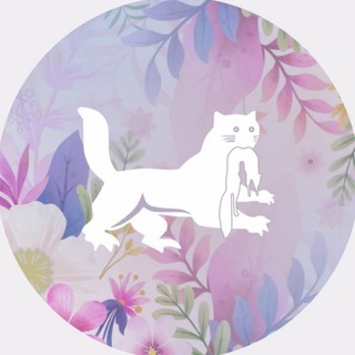 Логотип @admirk - Город Иркутск