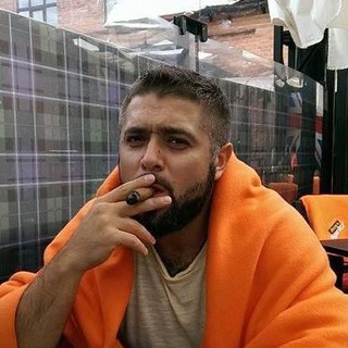 Логотип @adsensorchannel - BEAR TALK