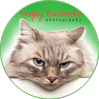 Логотип @advertising_photo_spb - Фотограф и К°т | Студия СПБ