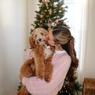 Логотип @advice_motivations - 𐙚˚ 𝓵𝓸𝓿𝓮 𝔂𝓸𝓾𝓻𝓼𝓮𝓵𝓯 ✧*: