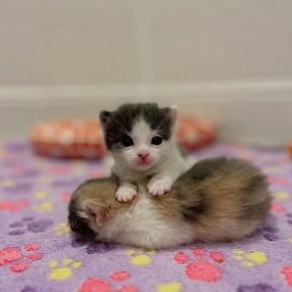 Логотип @aekschk - ПЕРЕЕЗД aeksi